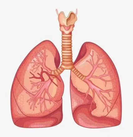 重庆中医肿瘤医馆科普|早期诊断和治疗才是提高肺癌调理的比较好途径