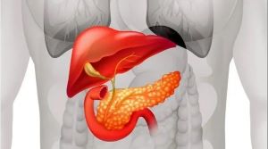 重庆胰腺癌肿瘤中医医师:经过反复研究发现胰腺癌的这些早期信号