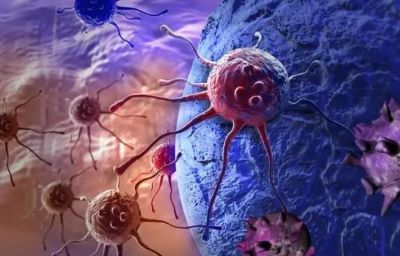 听说红薯能消灭98%癌细胞?肿瘤医师罗登祥怎么看？