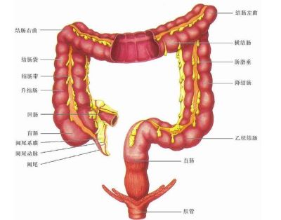 结肠癌术后复发,家属代诊,患者远程视频面诊解疑难