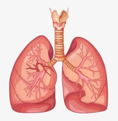 重庆肺癌中医医师:到底什么治疗方法对于肺癌症更有优势？