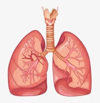 中医治疗肺癌靠谱吗