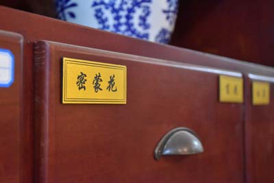中医饮食调理助力胆囊癌